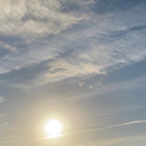 Meet your Posher, jojo